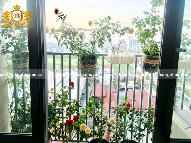 Khu vườn nhỏ tại ban công tràn ngập sắc màu. Những chậu hoa hồng nhỏ xinh