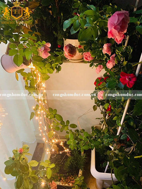 Một chút đèn điện sẽ tô điểm cho khu vườn hoa hồng tại ban công trở nên lung linh hơn.