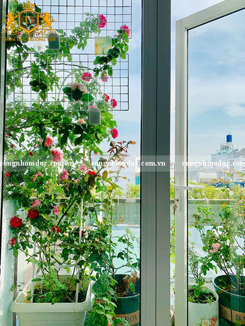 Chẳng cần phải có 1 view quá đẹp, chỉ cần 1 khu vườn lung linh như thế này thôi cũng đủ để bạn xao xuyến