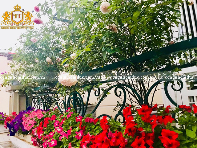 HÌnh ảnh thật tuyệt vời đúng không ạ! Thật không " ngoa" khi nói hoa hồng là nữ hoàng trong các loại hoa