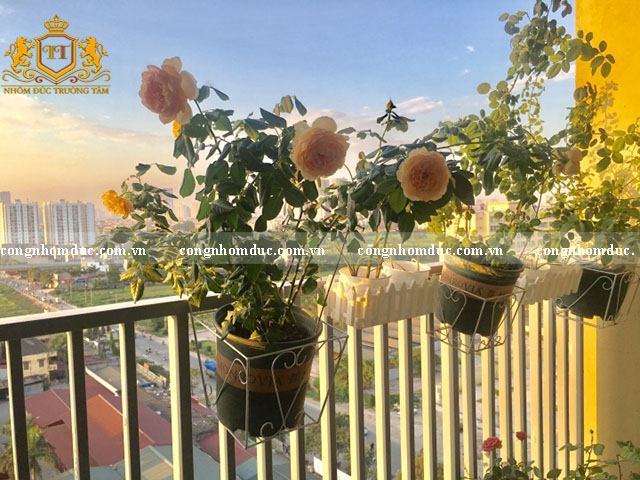 Chỉ cần đơn giản với những chậu hồng xinh xắn này thôi cũng đủ để giúp ban công của gia đình bạn trở nên tỏa sáng.