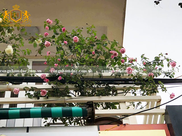 Không gian tràn ngập màu sắc. Thật tuyệt vời sau 1 tuần làm việc vất vả bạn có thể có 1 không gian đẹp như thế này để nghỉ ngơi, tĩnh dưỡng.