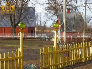 Hàng rào vàng nổi bật