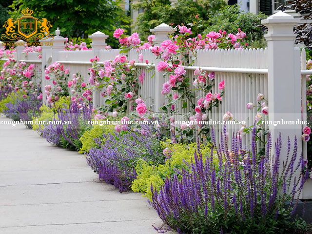 Hình ảnh nhà có hàng rào đẹp khiến ai đi ngang qua cũng phải xao xuyến. Nó chẳng khác gì 1 khu vườn cổ tích đem lại cho người nhìn cảm giác thích thú.