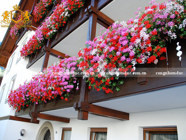 Nên trồng các loại hoa nở quanh năm để mang đến sức sống cho không gian