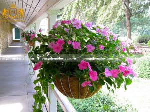 Những giỏ hoa treo đẹp góp phần tạo sự án tượng cho không gian