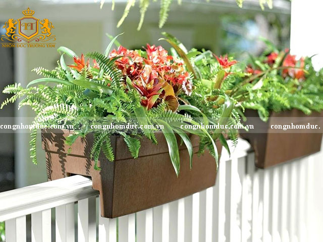 Sự cân đối là yếu tố quan trọng hàng đầu khi trồng hoa tại ban công chung cư