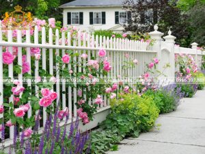 Bạn là người yêu thích sự lãng mạn? Hàng rào gỗ trắng chính là sự lựa chọn hoàn hảo dành cho bạn. Tô điểm thêm những bông hoa khoe sắc sẽ giúp gian trở nên tinh tế, ấn tượng hơn.